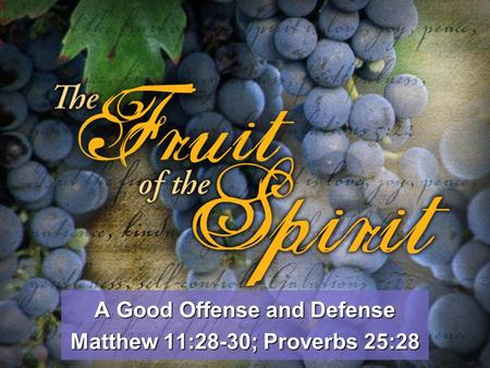 A Good Offense and Defense Matthew 11:28-30; Proverbs 25:28.