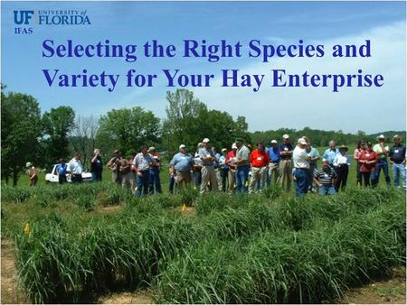 Selecting the Right Species and Variety for Your Hay Enterprise