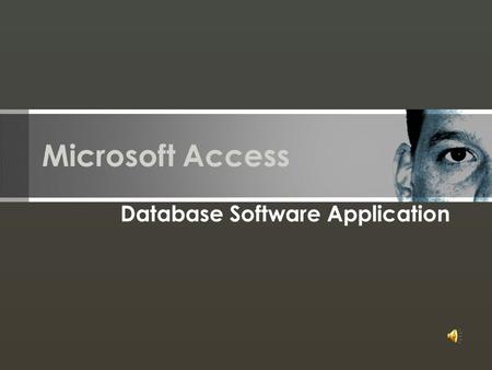 Database Software Application