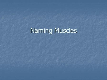Naming Muscles. Muscles causing movement… Skeletal Muscle – an organ made of several different types of tissue including muscle tissue, vascular tissue.