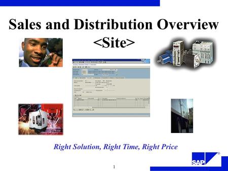 Sales and Distribution Overview