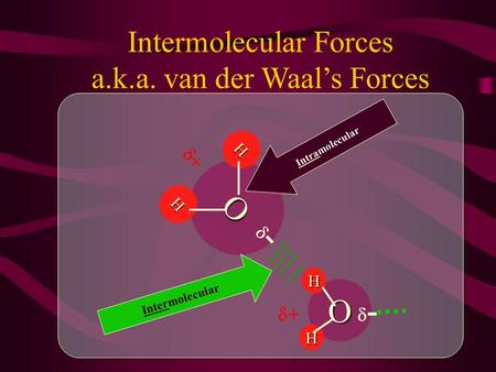 Intermolecular Forces a.k.a. van der Waal’s Forces O ++ -- H H O ++ -- H H Intermolecular Intramolecular.