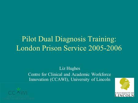 Pilot Dual Diagnosis Training: London Prison Service 2005-2006 Liz Hughes Centre for Clinical and Academic Workforce Innovation (CCAWI), University of.