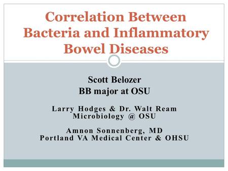 Correlation Between Bacteria and Inflammatory Bowel Diseases