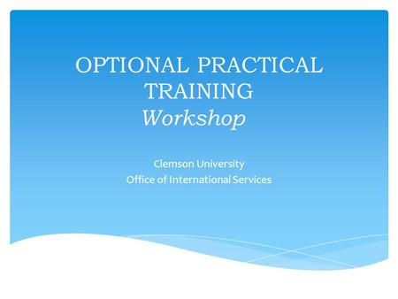 OPTIONAL PRACTICAL TRAINING Workshop