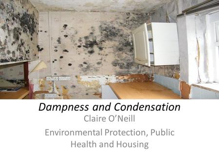 Dampness and Condensation Claire O’Neill Environmental Protection, Public Health and Housing.