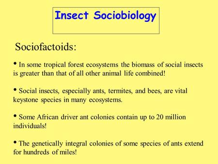 In some tropical forest ecosystems the biomass of social insects is greater than that of all other animal life combined! Social insects, especially ants,