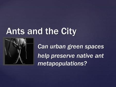 { Ants and the City Can urban green spaces help preserve native ant metapopulations?