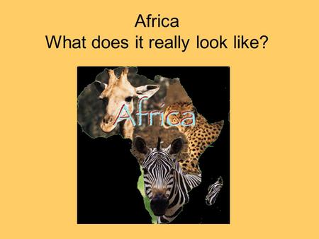 Africa What does it really look like?