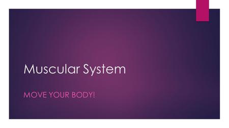 Muscular System MOVE YOUR BODY!.
