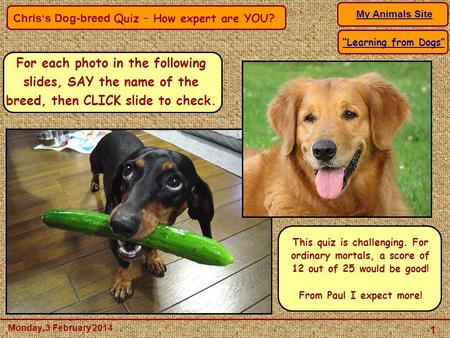 Chris‘s Dog-breed Quiz – How expert are YOU? My Animals Site 1 Monday, 3 February 2014 “Learning from Dogs” For each photo in the following slides, SAY.