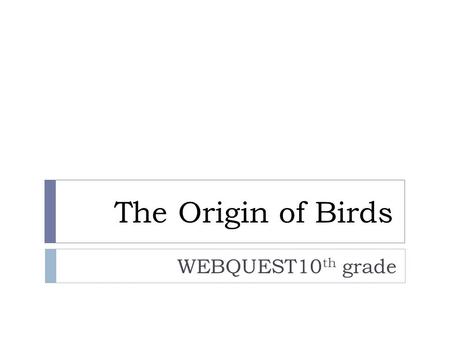 The Origin of Birds WEBQUEST10 th grade. Index  Background Information Background Information  Introduction Introduction  Task Task  Resources Resources.