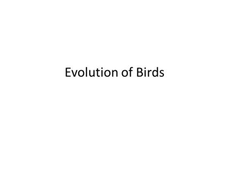 Evolution of Birds.