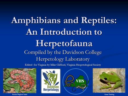 Amphibians and Reptiles: An Introduction to Herpetofauna Compiled by the Davidson College Herpetology Laboratory Edited for Virginia by Mike Clifford,