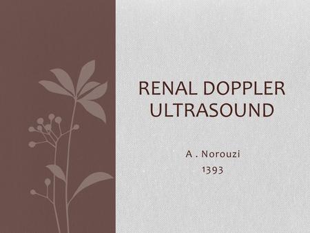 Renal Doppler Ultrasound