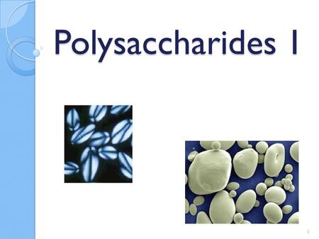 Polysaccharides 1.