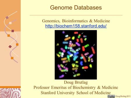 Doug Brutlag 2011 Genome Databases Doug Brutlag Professor Emeritus of Biochemistry & Medicine Stanford University School of Medicine Genomics, Bioinformatics.