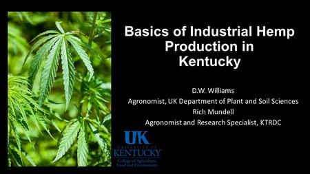 Basics of Industrial Hemp Production in Kentucky D.W. Williams Agronomist, UK Department of Plant and Soil Sciences Rich Mundell Agronomist and Research.