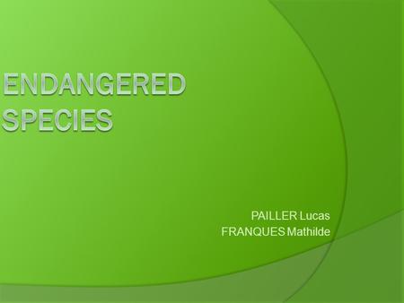 PAILLER Lucas FRANQUES Mathilde. INTRODUCTION SUMMARY  Why Save Endangered Species?  Causes Of Endangerment  Ways You Can Help Endangered Species.