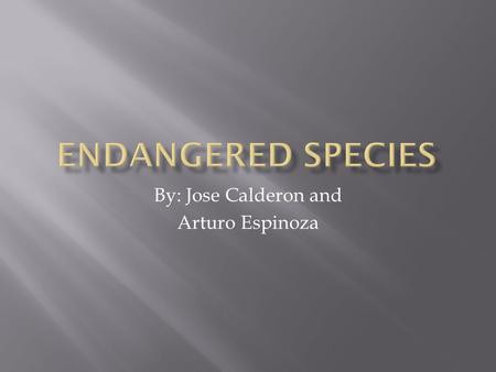 By: Jose Calderon and Arturo Espinoza.  Definition: An endangered species is a native species that faces a significant risk of extinction in the near.