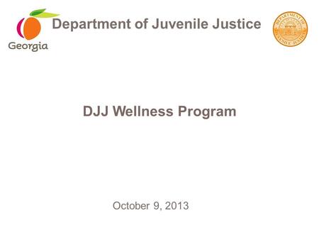 DJJ Wellness Program Department of Juvenile Justice October 9, 2013.