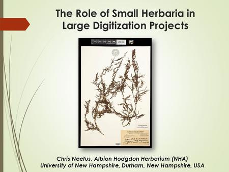 The Role of Small Herbaria in Large Digitization Projects Chris Neefus, Albion Hodgdon Herbarium (NHA) University of New Hampshire, Durham, New Hampshire,