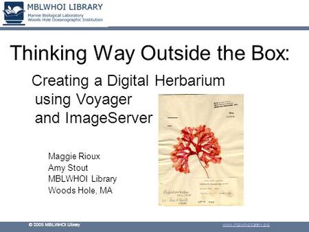 © 2005 MBLWHOI Library www.mblwhoilibrary.org Thinking Way Outside the Box: Maggie Rioux Amy Stout MBLWHOI Library Woods Hole, MA Creating a Digital Herbarium.