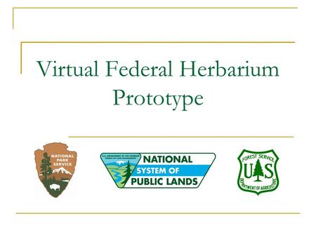 Virtual Federal Herbarium Prototype. What is a virtual federal herbarium? A “library” of specimen data and images of plants and fungi A searchable public.