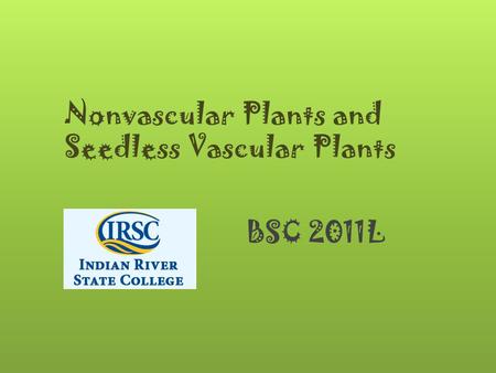 Nonvascular Plants and Seedless Vascular Plants BSC 2011L.