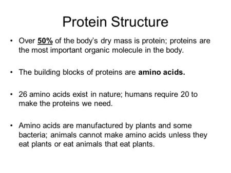 Protein Structure Over 50% of the body’s dry mass is protein; proteins are the most important organic molecule in the body. The building blocks of proteins.