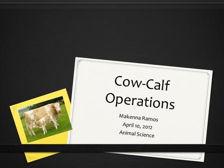 Cow-Calf Operations Makenna Ramos April 10, 2012 Animal Science.