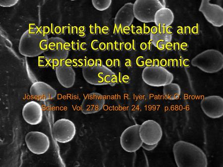 Exploring the Metabolic and Genetic Control of Gene Expression on a Genomic Scale Joseph L. DeRisi, Vishwanath R. Iyer, Patrick O. Brown Science Vol. 278.