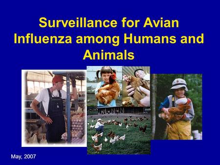 Surveillance for Avian Influenza among Humans and Animals May, 2007.
