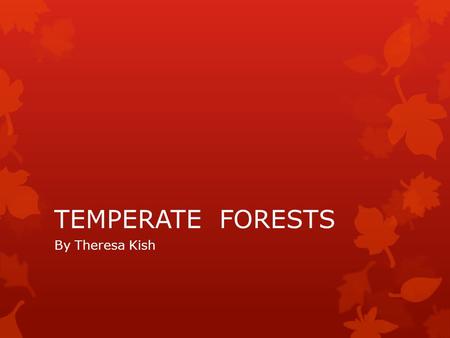 TEMPERATE FORESTS By Theresa Kish. Geography  Can be found between 30 - 55 ° latitude  Most lie between 40 degrees and 50 degrees latitude  Originally.