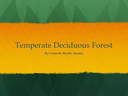 Temperate Deciduous Forest By: Ganesh, Rushi, Jasmin.