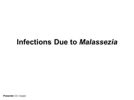 Infections Due to Malassezia Presenter: Dr. Cooper.