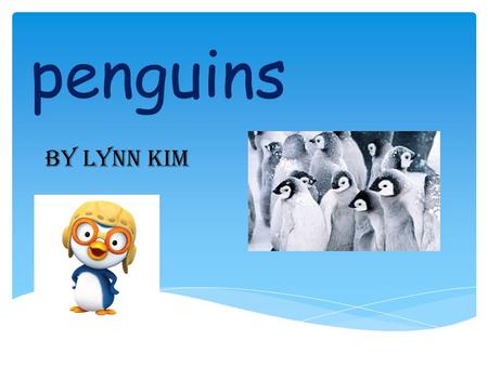 Penguins By Lynn Kim. blue penguins They are the smallest Penguins on earth and Grow up to 1ft. they live in caves, rock crevices, and under logs. Penguin.