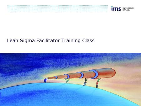Lean Sigma Facilitator Training Class. LeanSigma ® Facilitator Training Module 1 – Introductions & Expectations.
