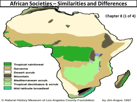 African Societies – Similarities and Differences Chapter 8 (1 of 4)