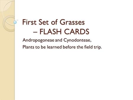 First Set of Grasses – FLASH CARDS