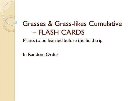 Grasses & Grass-likes Cumulative – FLASH CARDS Plants to be learned before the field trip. In Random Order.