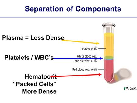 Separation of Components Plasma = Less Dense Hematocrit “Packed Cells” More Dense Platelets / WBC’s.