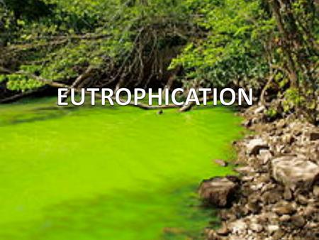 INTRODUCTION Eutrophication is a natural phenomenon in which the water becomes green and degraded. It is a natural process which became a problem because.