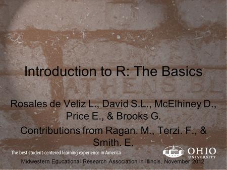 Introduction to R: The Basics Rosales de Veliz L., David S.L., McElhiney D., Price E., & Brooks G. Contributions from Ragan. M., Terzi. F., & Smith. E.
