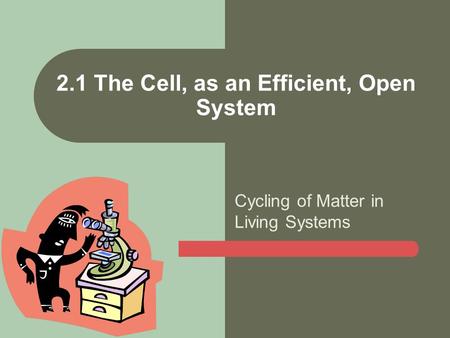 2.1 The Cell, as an Efficient, Open System