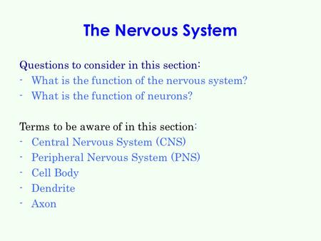 The Nervous System Questions to consider in this section: