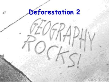 Deforestation 2. 2 Where we have got to: We have looked into:  Who is doing it?  What are they doing it for?  What are the effects of deforestation.
