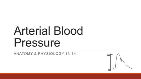 Arterial Blood Pressure ANATOMY & PHYSIOLOGY 13-14.