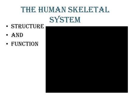 THE HUMAN SKELETAL SYSTEM STRUCTURE AND FUNCTION.