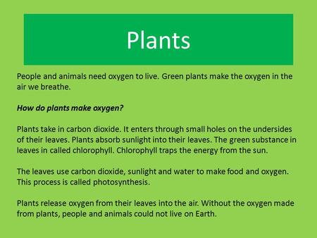 Plants People and animals need oxygen to live. Green plants make the oxygen in the air we breathe. How do plants make oxygen? Plants take in carbon dioxide.